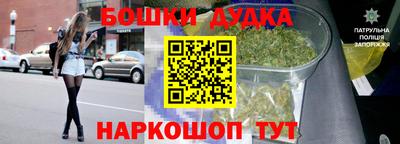 гидропоника Дубна