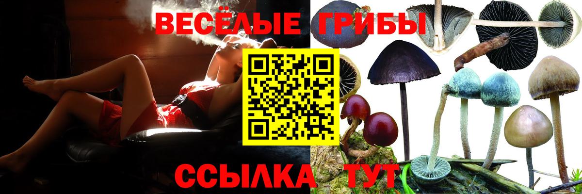 Искитим  Галлюциногенные грибы прущие грибы  Вход с VPN 